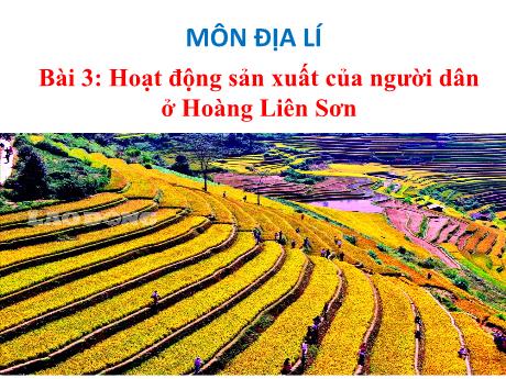 Bài giảng Địa lý Lớp 4 - Bài 3: Hoạt động sản xuất của người dân ở Hoàng Liên Sơn