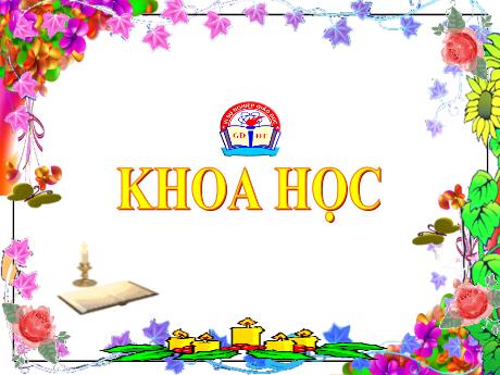 Bài giảng Khoa học Lớp 4 - Bài 8: Tại sao cần ăn phối hợp đạm động vật và đạm thực vật? - Năm học 2021-2022
