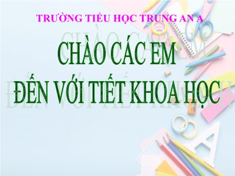 Bài giảng Khoa học Lớp 5 - Bài 15: Phòng bệnh viêm gan A (Tiết 1) - Nguyễn Văn Tưởng