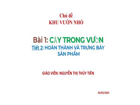 Bài giảng môn Mĩ thuật Lớp 3 - Bài 1: Cây trong vườn (Tiết 2) - Năm học 2024-2025 - Nguyễn Thị Thủy Tiên